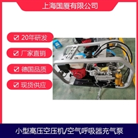 20Mpa国厦300L流量打压泵高压泵