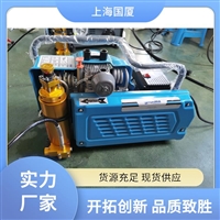 40Mpa德国宝华呼吸器充气泵