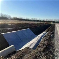 养殖场养猪地面10毫米厚水泥毯铺钓鱼塘边