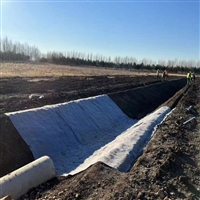 鱼塘养殖池水泥毯8公斤