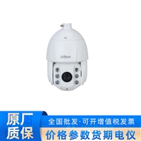 大华DH-SD6240-D2-i6寸红外星光球机