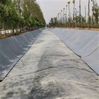 10毫米厚水泥毯护坡排水沟施工养牛场用