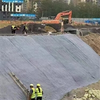 排水沟护渠用10毫米厚水泥毯养牛场用