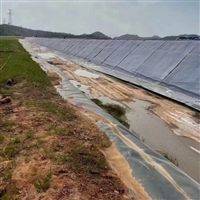 湖北10毫米厚水泥毯生产厂家污水处理池