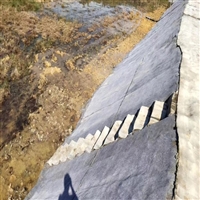 宁夏10公斤建材10毫米厚水泥毯水塘护坡
