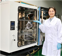 恒温干燥试验箱