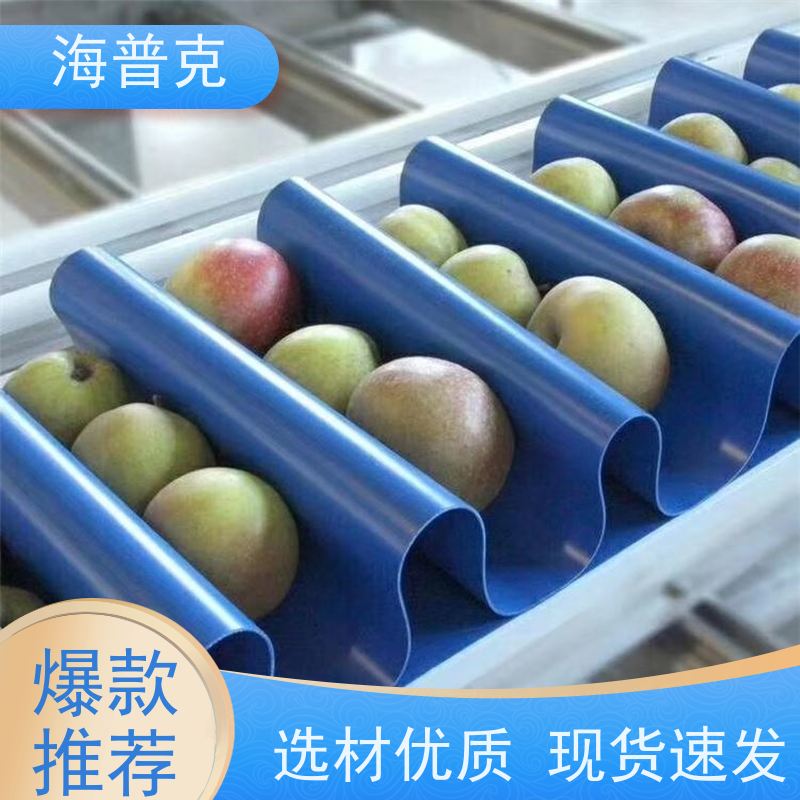 海普克 耐油输送带 支持加工 耐高温 饼干糖果生产线