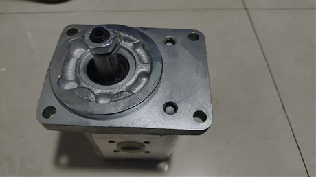 0510225027 AZPF-12-004RCB20MB 力士乐REXROTH齿轮泵