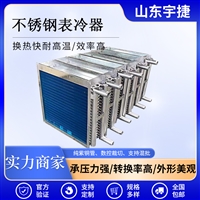 干式冷凝器 强制对流冷却冷凝器 不锈钢散热器翅片管散热器