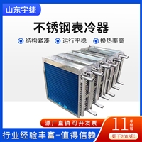  空气冷却式冷凝器  不锈钢防腐冷却器 定制V型表冷器