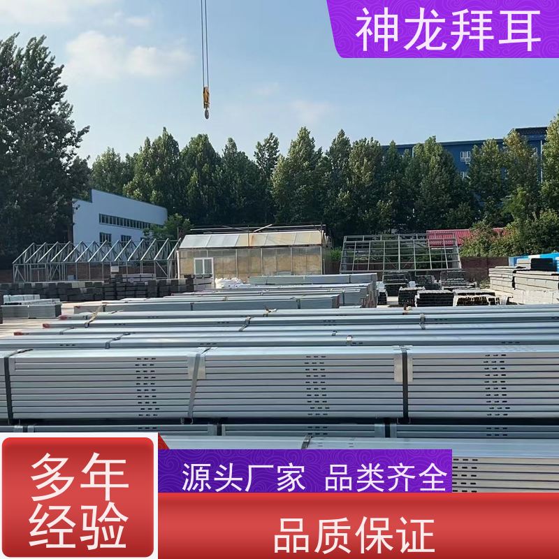 神龙拜耳 镀铝镁锌 光伏支架 一站式解决方案 厂