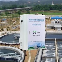 污水泵站恶臭远程监测终端 污水沉淀池恶臭物质监测分析系统