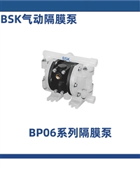 BSK派莎克BP06PP-PTT4酸碱泵BP15PP-PTT4-B气动隔膜泵BA25AL-P991