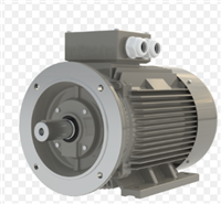 欧洲进口 AC motoren IE3AC13M4000   交流电机 