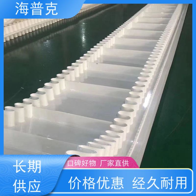 海普克 饼干糖果生产线 砂石煤炭运输专用 耐高温 矿用输送带