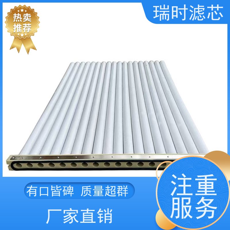 高效过滤用瑞时陶瓷烧结滤芯（硅藻土滤器） 户外净水器核心部件