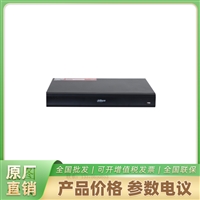 大华N216 网络双盘位硬盘监控录像机