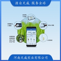 TW-BX-II小麦表型检测系统 小型小麦表型检测仪 小麦株高产量测量