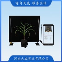 LBMT-X-1玉米株型检测系统 多功能表型检测仪 玉米株型测量分析仪