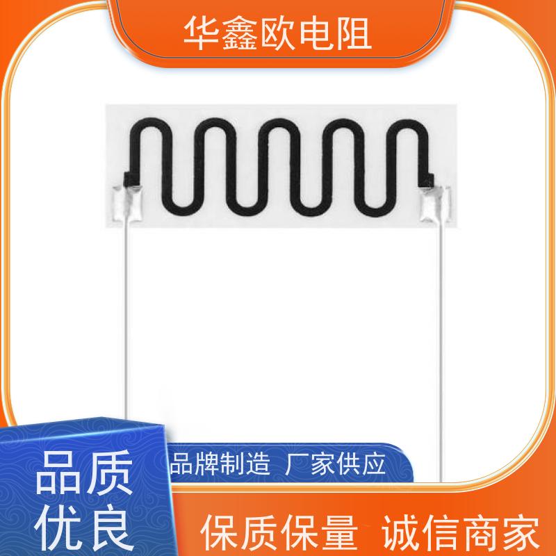 HXO 源头工厂 电磁炉用高压电阻 30W 阻值1G