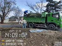 城阳区沙石建材配送24小时接单