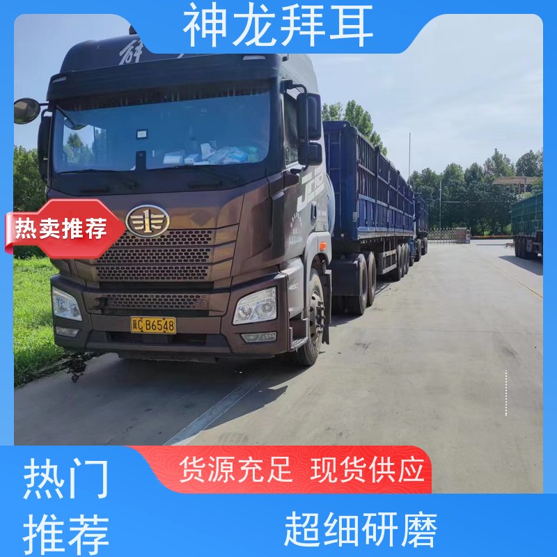 河北神龙拜耳 光伏支架打包机 个性化定制 价格