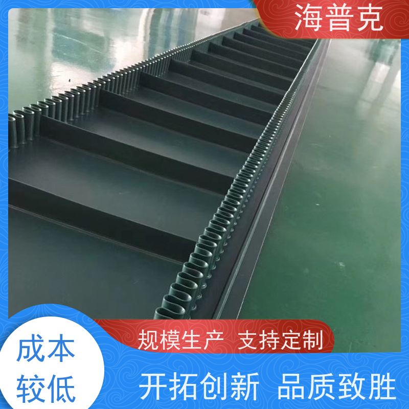 海普克 饼干糖果生产线 防静电耐磨可定制 耐高温 菱形花纹输送带