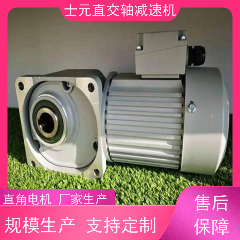 偏心轴直角减速机 链条线滚筒线 SGF25-100W 士元电机 质保一年