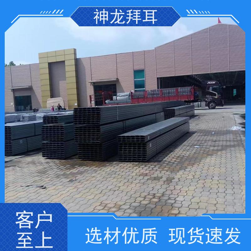 神龙 厂商 可定制 光伏工程施工方案