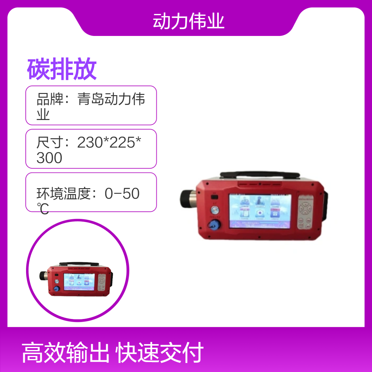 废气检测仪DL-6300C型便携式碳排放监测仪内置电源