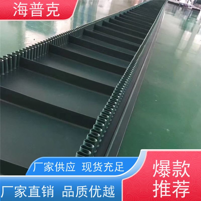 海普克 支持加工 饼干糖果生产线 导条草纹输送带 小型食品粮食