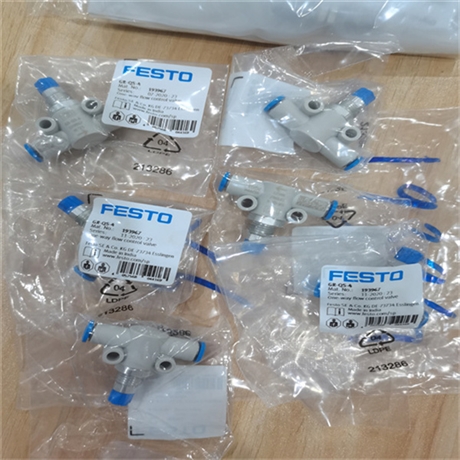 2098975费斯托标准气缸FESTO DSBC-50-300-PPVA-N3