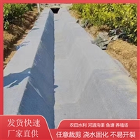 四川水泥毯加工定制厂家 边坡治理用混凝土帆布 水泥毯抗渗