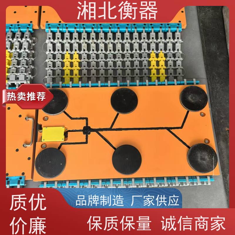 便携式汽车称重仪 工地简易移动地磅秤 轴重秤 湘北衡器品牌