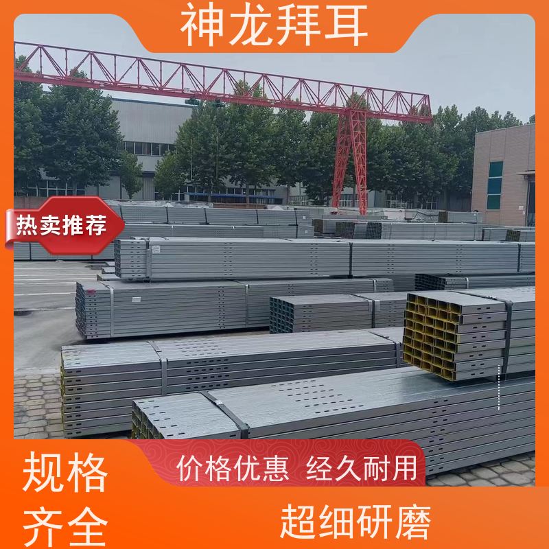 河北神龙拜耳 全国光伏支架前十排名 沉浸式体验 品牌