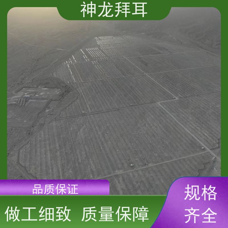 河北神龙拜耳 太阳能光伏支架成型机 稳定可靠 厂商