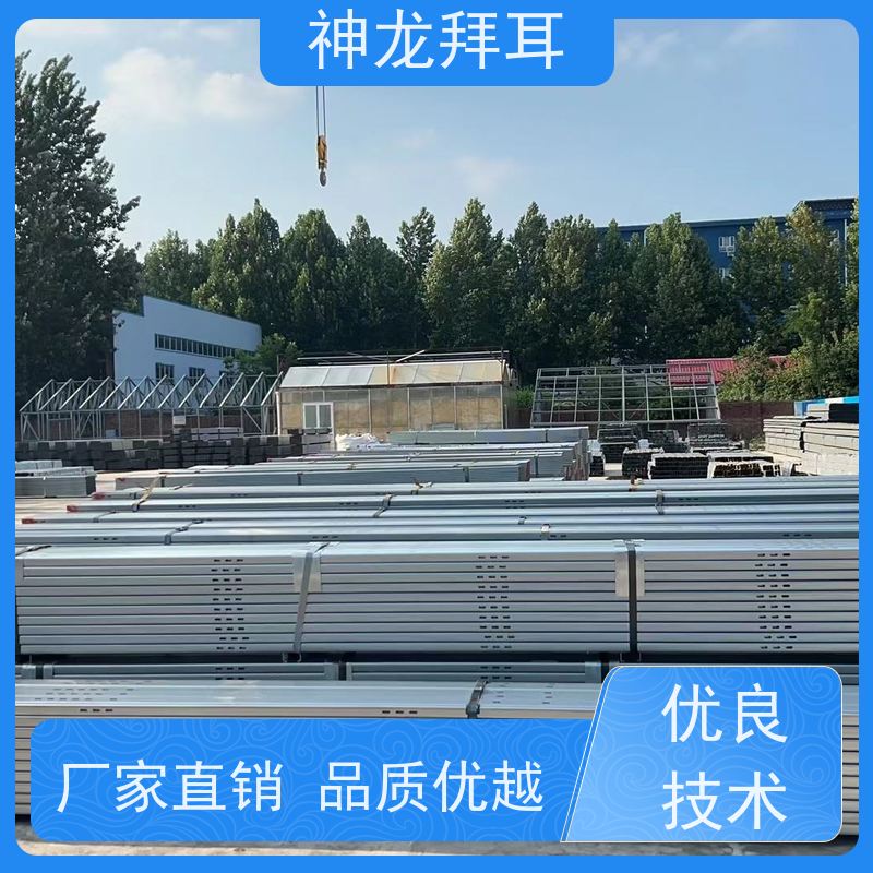 河北神龙拜耳 逆变器光伏支架 稳定可靠 供应