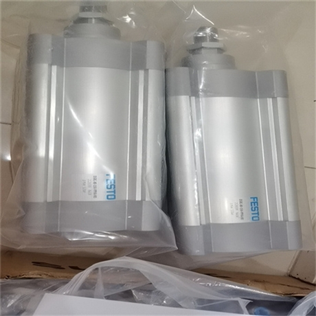 德国FESTO膜片式驱动器DSBC-40-375-PPVA-N3