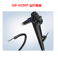 OLYMPUS奥林巴斯治疗型胃镜GIF-H290T