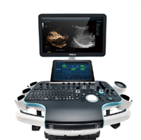 超声诊断仪VMM-ICE-01批发价