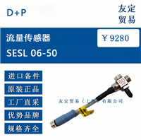 欧洲进口 D加P SESL 06-50 流量传感器