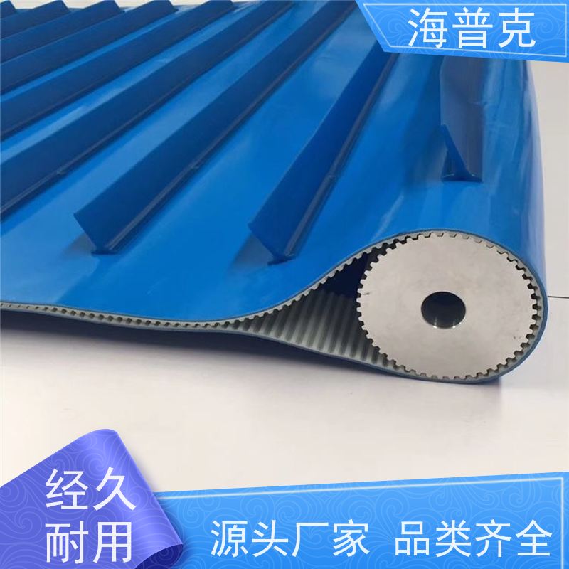 海普克 轻型输送带 饼干糖果生产线 防静电耐磨可定制 小型食品粮食
