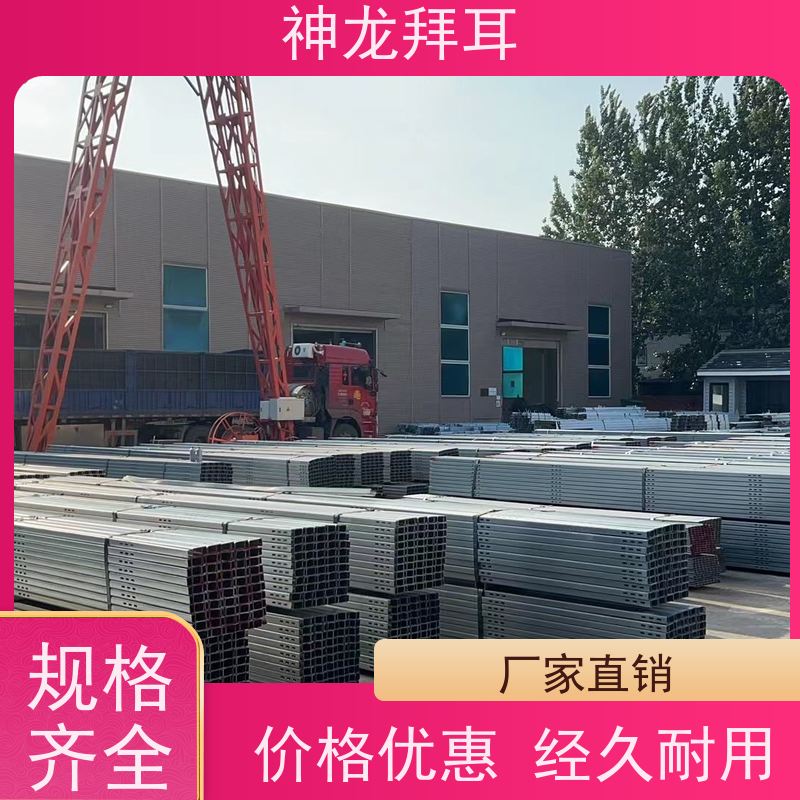 河北神龙拜耳 光伏支架生厂商 快速响应 品牌
