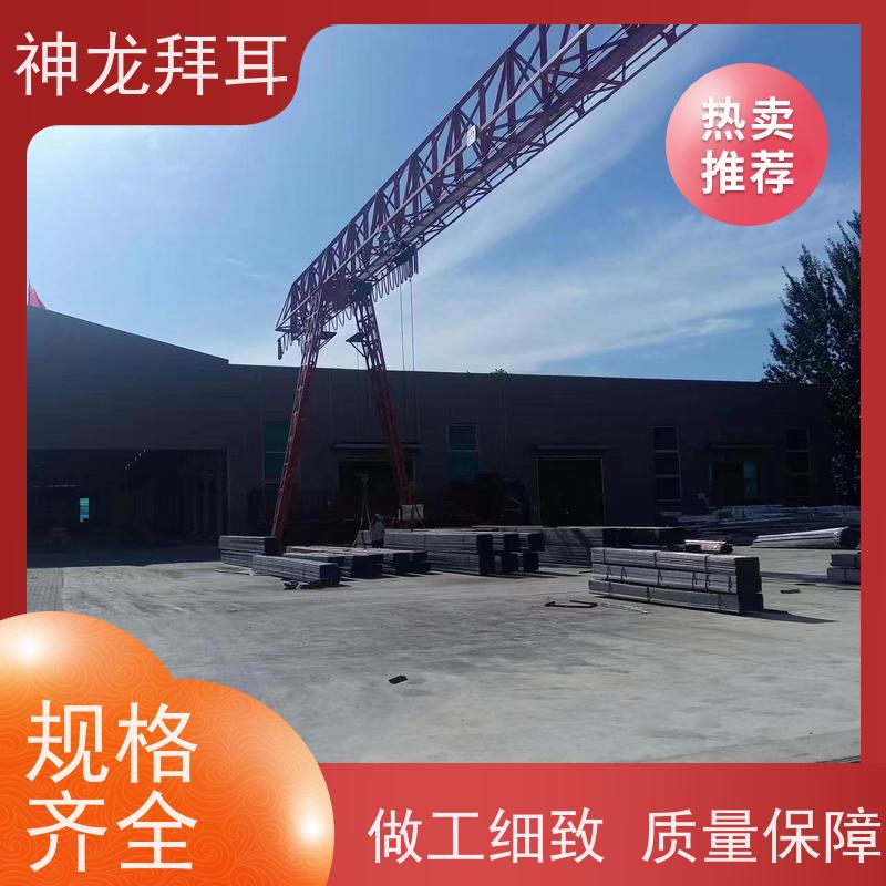 河北神龙拜耳 光伏支架形式 精准 厂