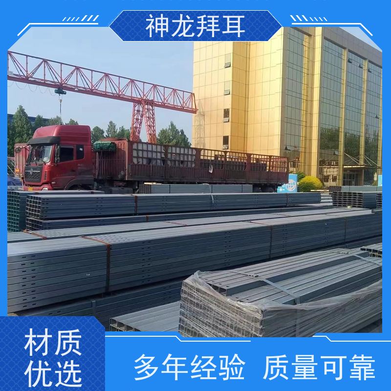 神龙 公司 热镀锌 光伏100mw是什么意思