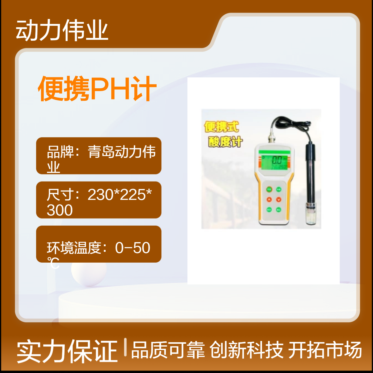水质多参数检测DL-PH100型便携式PH计