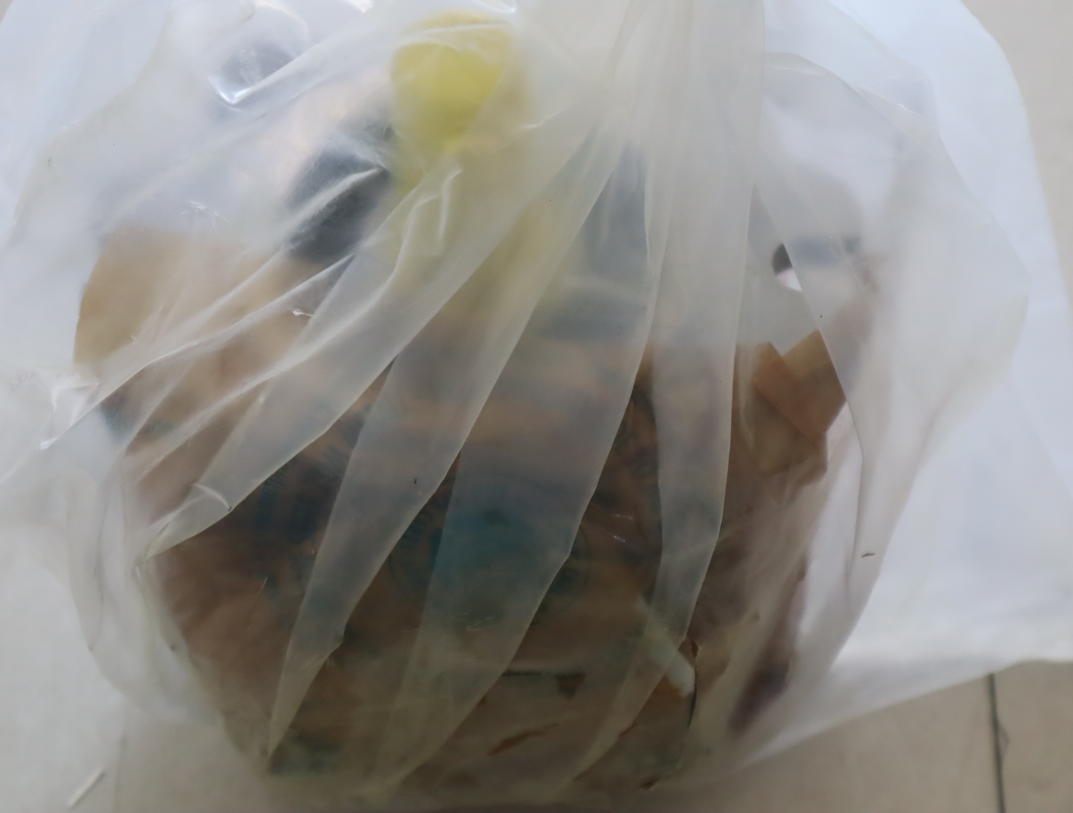 R901147104 PGH4-31/050RE11VU2 德国力士乐REXROTH齿轮泵