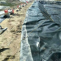 奶牛粪污池防渗膜0.6mm暴晒使用28年