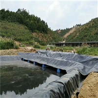 化工蓄水池HDPE防渗膜0.5mm承压防水能力够用