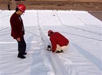 养猪复合防渗膜水泥沉淀池粪污池防水400克